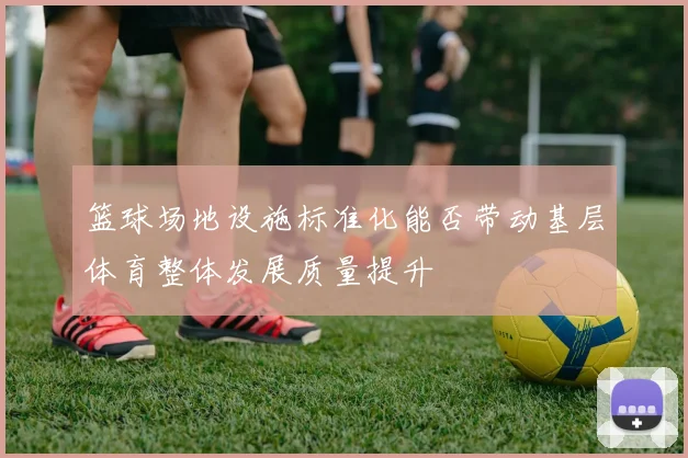 篮球场地设施标准化能否带动基层体育整体发展质量提升