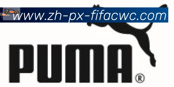 世界杯在线观看合作伙伴